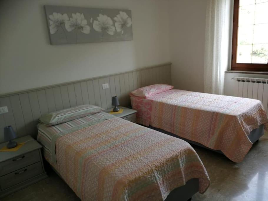 I Chechin - Homy 5 Terre Apartment Volastra Luaran gambar